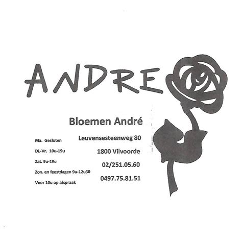 bloemist vilvoorde|Bloemen André 